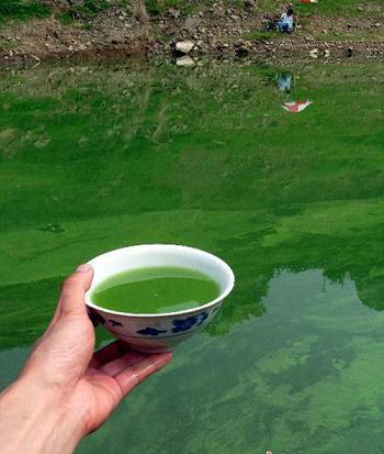 ���{��^֧�����׵V���۱��lˮ�A