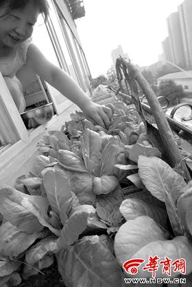 ���Gɫ��_������С�B����(�M�D)