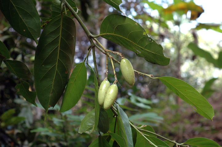 �c������D