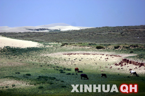 �c(di��n)������D