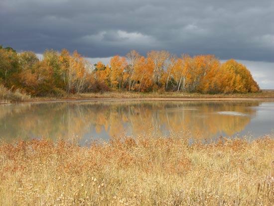 ������Ȼ�Ļ��z�a�����˴����^(�M�D)(2)