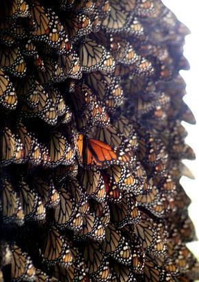 ������Ȼ�Ļ��z�a(ch��n)�����˴����^(�M�D)(2)