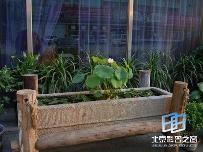 �Ă��y���׽Ƕ��x���b���_��ֲ��