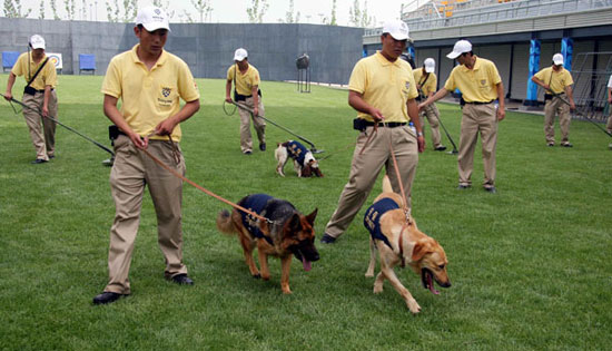 �D�ģ������W�\��������֮�ѱ�Ȯ