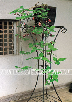 �옷���������@