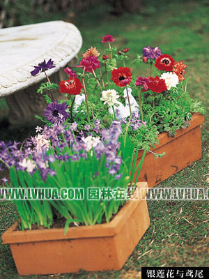 �옷���������@