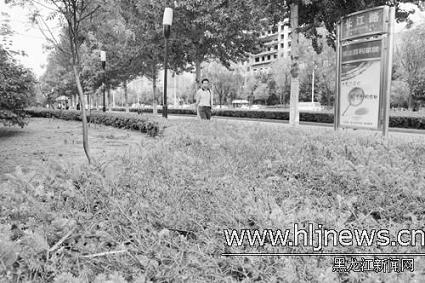 �����I3�f����ɼ���w����