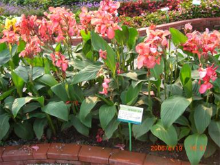 ���Ꭷ õ�tɫ�� ���˽�