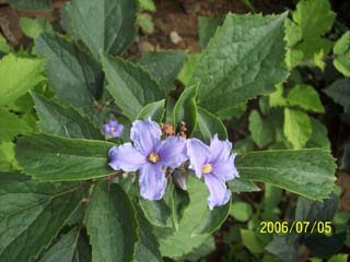 ���~�F��ɏ