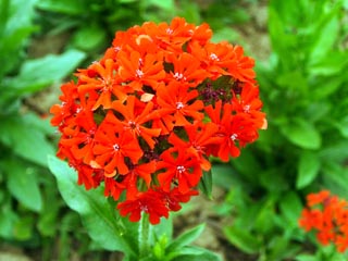 ���~�����}