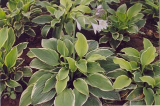 ���~����