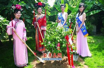 �Ҟ�W�\�N�Ø�