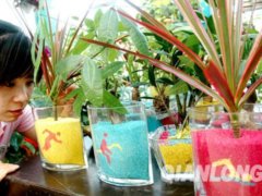 �W�\�ʺ�ɳ����ֲ������ �r���ʮ���װٲ���