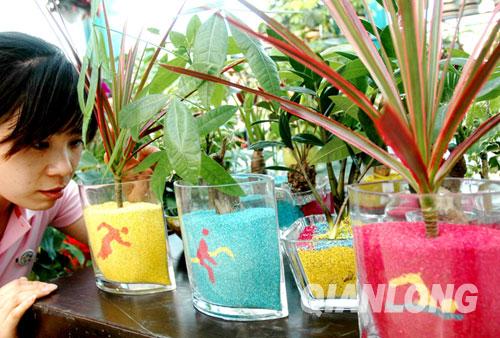 �W�\(y��n)�ʺ�ɳ����ֲ������