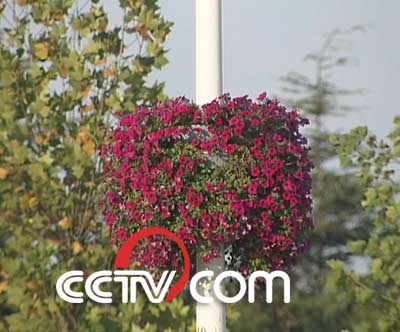 ���w�G��