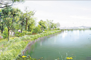 ��߅ˮ��G����Ч���D