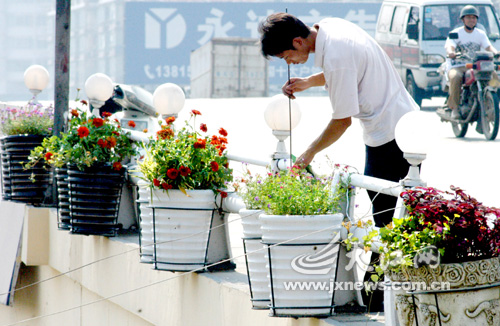 ���Bʽ����