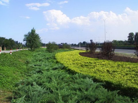 �R����|���ȗl�ξG��