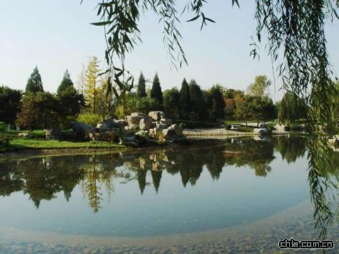 ���޽���Փ������Փ����ַ���O�ȭh���G�����칤��