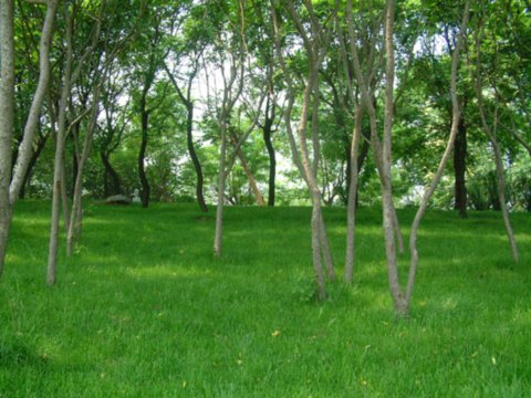 ���޽���Փ������Փ����ַ���O�ȭh���G�����칤��