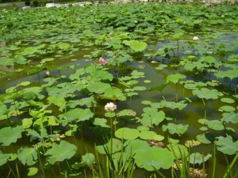 ���޽���Փ������Փ����ַ���O�ȭh���G�����칤��