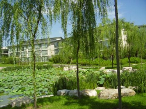 ���޽���Փ������Փ����ַ���O�ȭh���G�����칤��