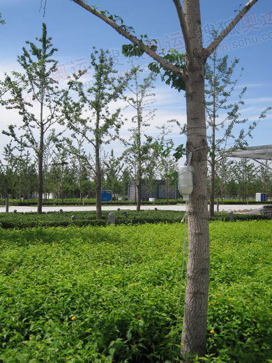 �@�ֲ��T��W��ƥ�˹��@�������J�a�I�B(y��ng)