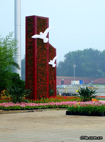 �찲�T����