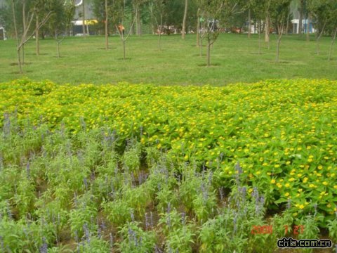 ����������w�����İ��������߅�G��