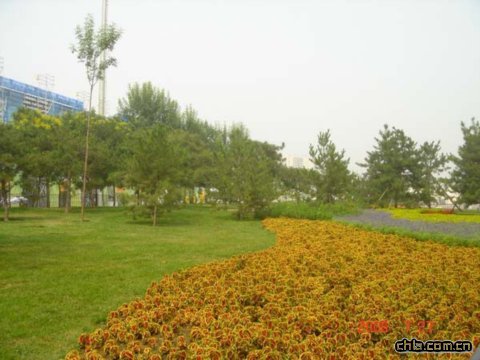 ����������w�����İ��������߅�G��