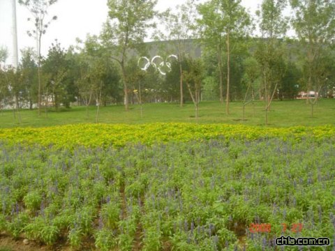 ����������w�����İ��������߅�G��