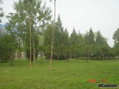 ����������w�����İ��������߅�G��