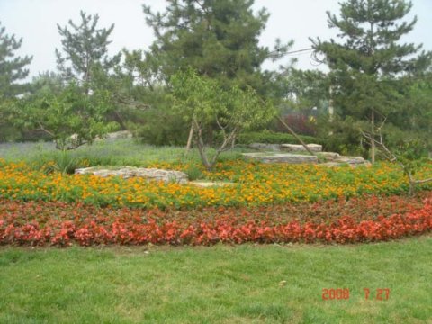 ����������w�����İ��������߅�G��