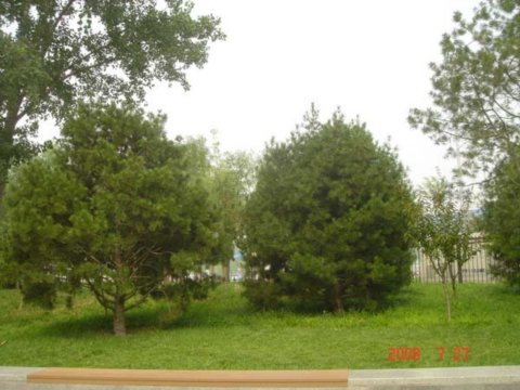 ����������w�����İ��������߅�G��