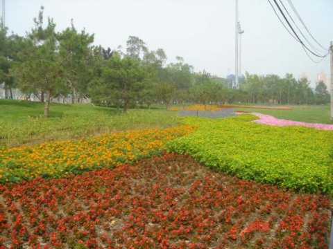 ����������w�����İ��������߅�G��