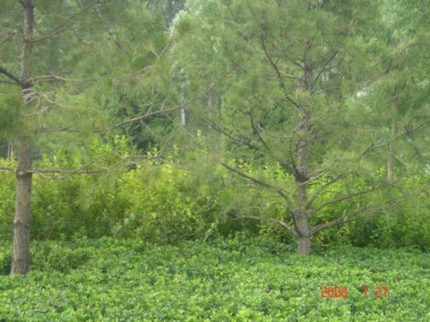 ����������w�����İ��������߅�G��