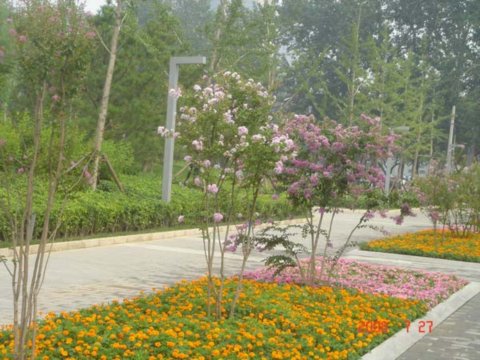 ����������w�����İ��������߅�G��