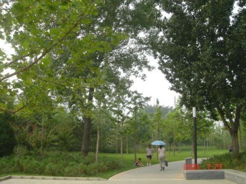 ����������w�����İ��������߅�G��