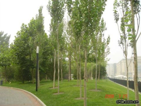 ����������w�����İ��������߅�G��