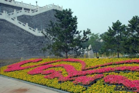 �������^���ܡ��Gɫ�W�\��