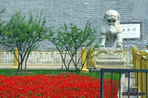 �������^���ܡ��Gɫ�W�\��