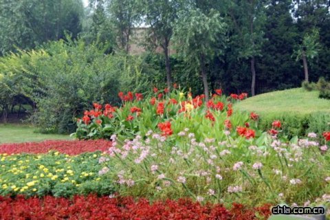 �������^���ܡ��Gɫ�W�\(y��n)��