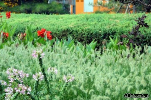 �������^���ܡ��Gɫ�W�\(y��n)��