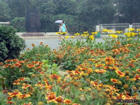 �������S�_�w�����ļ���߅�G��