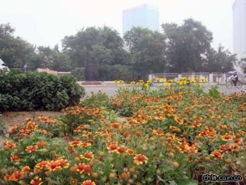 �������S�_�w�����ļ���߅�G��