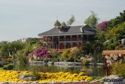 ���Ȼ���