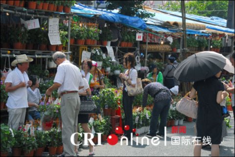 �|����ȵĠ�������