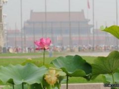 �찲�T�V���tɏʢ�_ӭ�W�\ (�M�D)