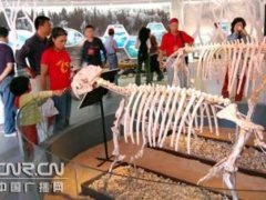 �½����{˹���ҵ��|���@�ұ��_�@