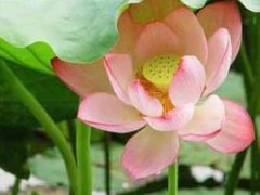 �����ɻ���ס�����˵��_�����D��